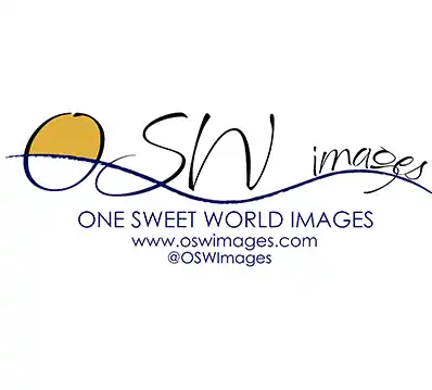OSW Images