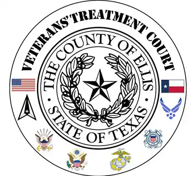 Veterans Treatment Court